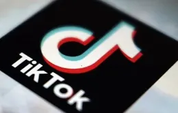 Toà án bác kháng cáo, cơ hội nào cho TikTok tại Mỹ?