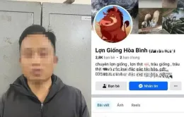 Lập Facebook "Lợn Giống Hòa Bình", lừa đảo chiếm đoạt tiền đặt cọc