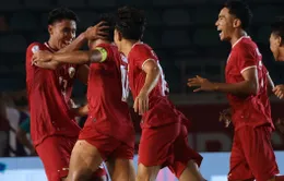 Lịch thi đấu và trực tiếp Asean Cup 2024 hôm nay, 12/12: Indonesia gặp Lào, Philippines đón tiếp Myanmar