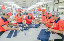 Sản xuất tiếp tục phục hồi nhanh, tăng trưởng tốt