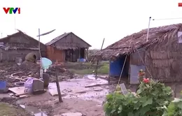 Cà Mau quyết tâm xóa 4.400 nhà dột nát