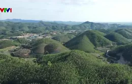 Ứng dụng công nghệ trong quản lý và bảo vệ rừng