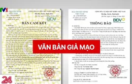 Cảnh báo chiêu trò mạo danh VTV tổ chức giải chạy để lừa đảo