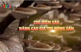 Chế biến sâu nâng cao giá trị nông sản