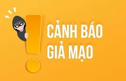 Cảnh báo hành vi giả mạo website doanh nghiệp để lừa đảo chiếm đoạt tài sản