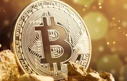 Giá Bitcoin rơi tự do