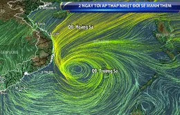 Áp thấp nhiệt đới sẽ tiến gần về Trung Bộ