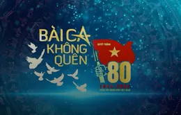 THTT Bài ca không quên - Vì nhân dân quên mình (20h10 VTV1, VTV9)