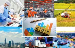 Tiếp đà năm 2024, Việt Nam đặt mục tiêu tăng trưởng 2025 từ 6,5 - 7% đầy triển vọng