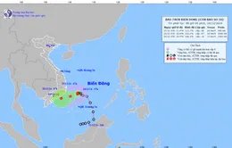 Bão số 10 di chuyển theo hướng Tây Tây Nam, biển động mạnh