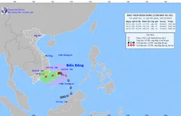 Trong 3 giờ qua, bão số 10 hầu như ít dịch chuyển
