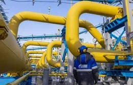 Nga chính thức ngừng cung cấp khí đốt cho châu Âu qua Ukraine