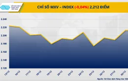 Sôi động thị trường giao dịch hàng hóa 2024