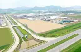 Chấp thuận đầu tư dự án WHA Industrial Zone 2 - Nghệ An