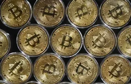 Người mua Bitcoin lãi 40% năm 2024