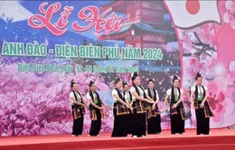 Sắp diễn ra Lễ hội hoa anh đào - Điện Biên Phủ 2025