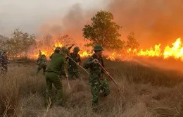 Hàng trăm người tham gia chữa cháy rừng tại Tân Thanh, Lạng Sơn