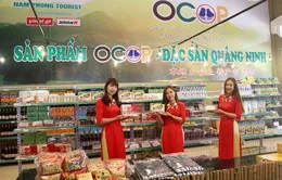 Sức mua hàng hóa dịp Tết Nguyên đán 2025 có thể tăng trên 10%