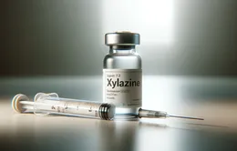 Anh cấm sử dụng thuốc an thần xylazine