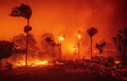 Cháy rừng ở California: Người dân sơ tán không được quay trở lại trong ít nhất 1 tuần