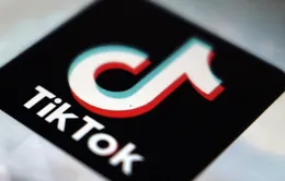 TikTok tại Mỹ: Chấp nhận đóng cửa hay "bán mình" để tồn tại?