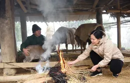 Chủ động ứng phó với rét đậm, rét hại và gió mạnh trên biển