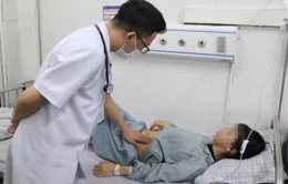 Cảnh báo suy gan, suy thận vì lạm dụng thuốc nam và các loại lá chữa bệnh