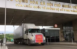 Xuất nhập khẩu nhộn nhịp ngay từ đầu năm