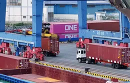 Bà Rịa - Vũng Tàu: Cảng biển nhộn nhịp đầu năm