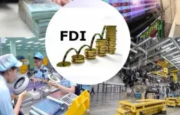 Việt Nam sẽ giữ nhịp độ tích cực trong thu hút FDI