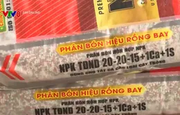 Hệ lụy từ phân bón giả, kém chất lượng