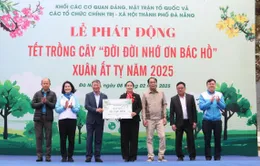 Đà Nẵng phát động Tết trồng cây Xuân Ất Tỵ 2025, tiếp tục mở rộng không gian xanh ven biển