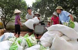Đắk Nông chỉ đạo cấp phát gạo hỗ trợ giáp hạt đúng đối tượng, chất lượng
