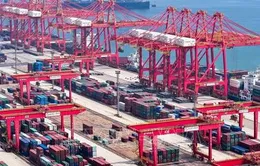 Cuộc chiến thương mại “ăn miếng trả miếng”