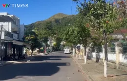 Nha Trang: Đã khắc phục tình trạng ô nhiễm do điểm tập kết rác tại phường Vĩnh Hòa