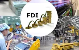 Hơn một nửa doanh nghiệp FDI báo lỗ