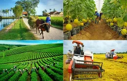 Tháo gỡ điểm nghẽn, xây dựng nông nghiệp sinh thái, nông thôn hiện đại, nông dân văn minh