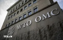 WTO tổ chức phiên họp về căng thẳng thương mại toàn cầu