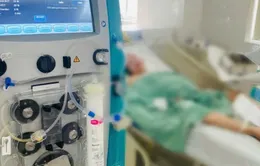 Thay huyết tương cứu bệnh nhân viêm tụy cấp thoát nguy kịch
