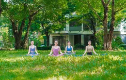 Bí quyết sống khoẻ mạnh nhờ tái tạo năng lượng ngay tại nhà