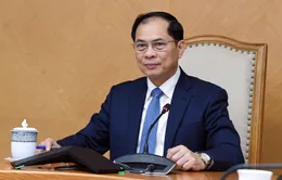Thúc đẩy để sớm hoàn tất việc nâng cấp quan hệ Việt Nam - Thổ Nhĩ Kỳ