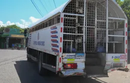 Ngăn chặn làn sóng di cư từ Haiti, Dominica trục xuất hơn 276.000 người