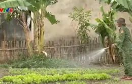 Đồng bào biên giới Kon Tum thoát nghèo nhờ mô hình của bộ đội biên phòng