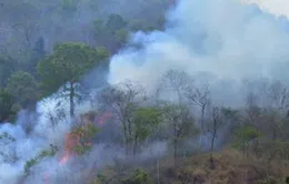 Huy động hàng trăm người tham gia chữa cháy rừng ở Sơn La