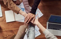 Nhiều phụ nữ trẻ cân nhắc việc khởi nghiêp
