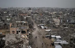 Israel, Hamas phát tín hiệu sẵn sàng tiếp tục đàm phán ngừng bắn