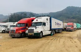 Thủ tướng yêu cầu xử lý ách tắc đăng kiểm xe đầu kéo và sơ mi rơ moóc