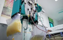 Sở Y tế TP Hồ Chí Minh: Mở rộng chỉ định lọc máu, lọc huyết tương cần phải dựa trên chứng cứ khoa học