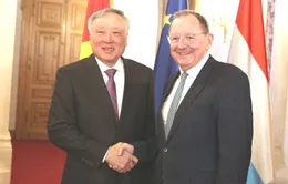 Tiếp tục hiện thực hóa, đưa đối tác chiến lược Việt Nam - Luxembourg về tài chính xanh đi vào cuộc sống