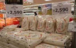 Giá gạo bán buôn tại Nhật Bản lập kỷ lục mới